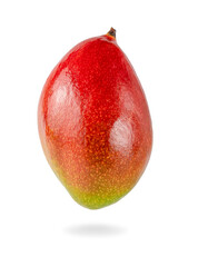 Ripe isolated single mango on white background.