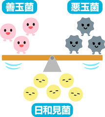 シーソーに乗る善玉菌・悪玉菌と日和見菌