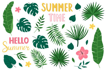 A set of bright tropical plants. Hand-drawn green leaves. Handwritten summer phrases. Vector illustration in cartoon style