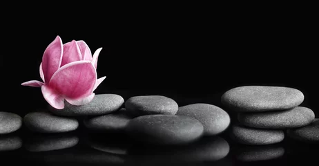 Gordijnen Mooie roze magnoliabloem op stenen, concept van wellness-spabehandelingen voor de schoonheid van geest en lichaam, massage, zensteen © Belight