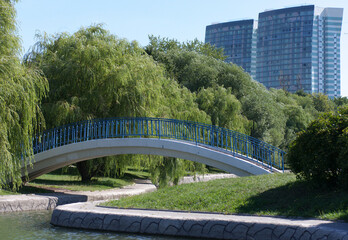 Fototapeta premium bridge over pond in park at dry sunny summer day