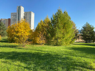 autumn in city park at dry sunny day
