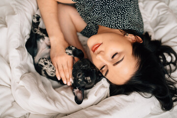 top view. happy pretty brunette woman with a French Bulldog puppy in a bed. © andrey