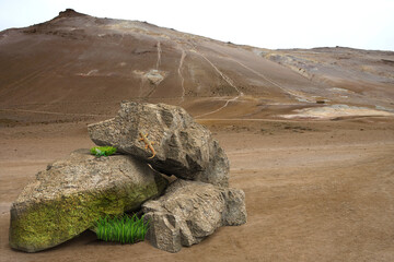 Fototapeta na wymiar rock nature. 3D rendering