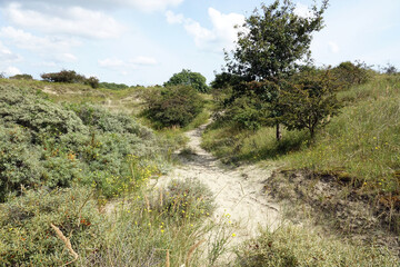 Netherlands. The dunes of Wassenaar