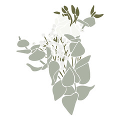 Tender vector flat illustration with a bouquet of flowers. Spring bouquet with eucalyptus. Bouquet for women on International Women's Day, Wedding and Mother's Day. Flower arrangement for decoration.