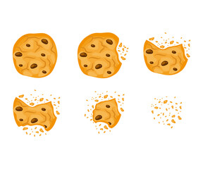 Set with bitten chocolate cookies  vector