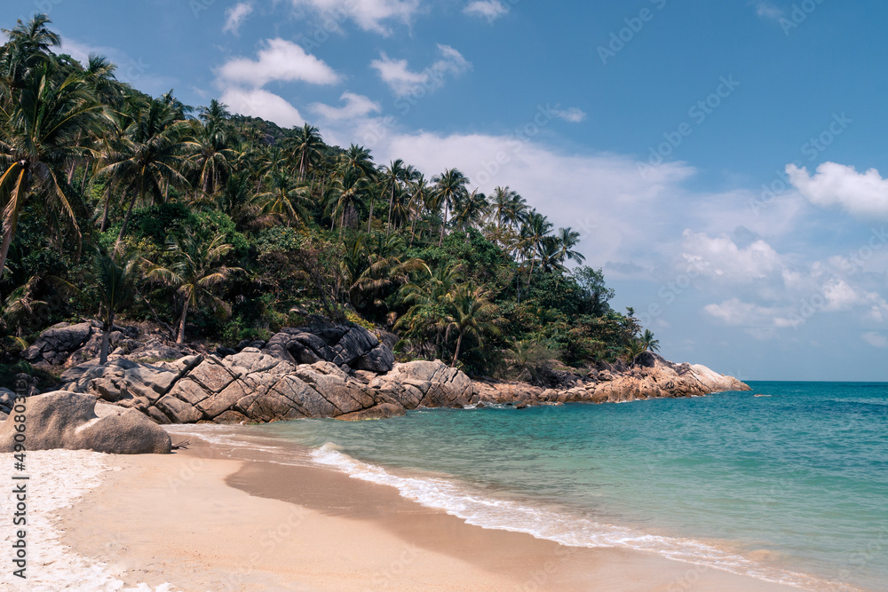 Wall mural beautiful wild sandy beach with palm trees and clear turquoise water