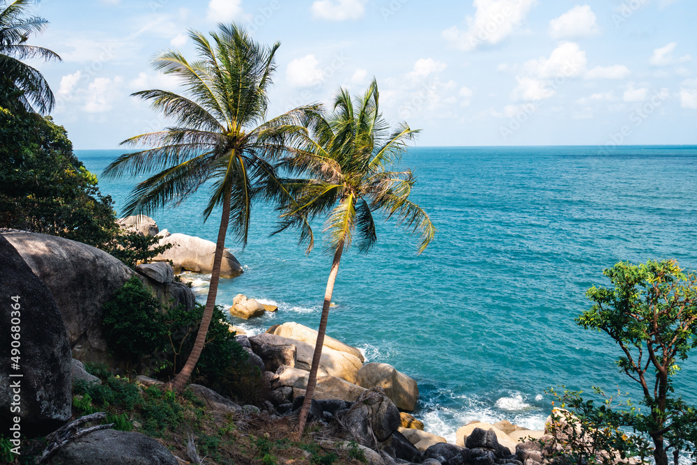 Wall mural two palm trees on the beautiful coast of the sea with turquoise water