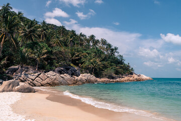 Fototapeta na wymiar Beautiful wild sandy beach with palm trees and clear turquoise water