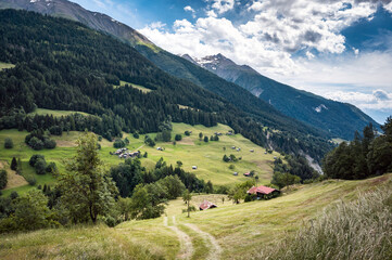 Fototapeta na wymiar Pâturages dans une vallée des Alpes suisse en bordure de forêt