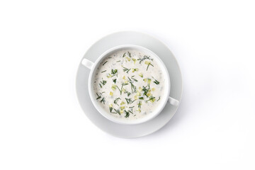 Bulgarian tarator sour milk soup in bowl isolated on white background. Top view. 