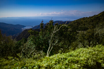 A miniature harbor in Numazu Shizuoka by panoramic angle