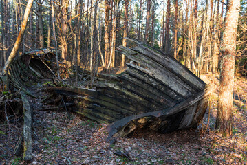 Naklejka premium Old abandoned wooden fishing boat in the forest. Boat cemetery.