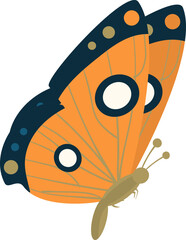 Image of Butterfly Flying Insect with Brightly Coloured Wings and Antennae Illustration printed on Printed Glass Basin Splashbacks