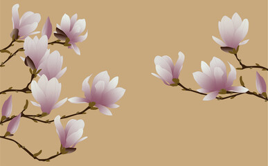 03_magnolia_5000x3100