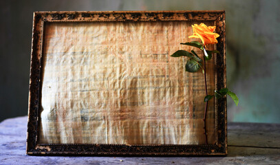 a parchment in an old frame and a yellow rose