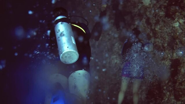 underwater view of group divers who research the bottom of coral reef. Maldives