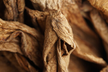 Dried mushrooms macro shot, overhead view.