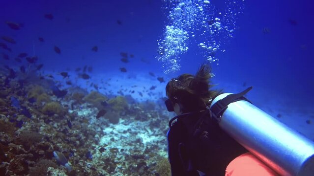 underwater seascape of woman who research coral reef and fishes. Maldives