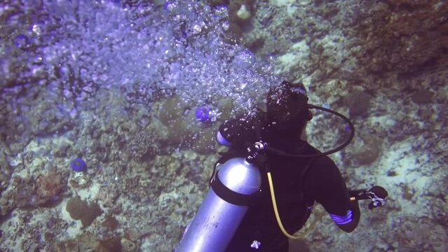 underwater top view close up of man who research the coral reef. Maldives
