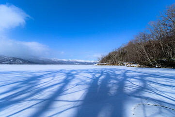青空の下の雪原に落ちる木の影。