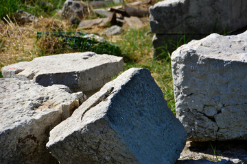 lizard lying on the stone in the sun at noon