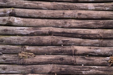 wood pattern: bamboo
