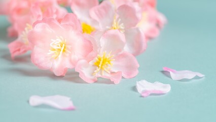 【背景素材】桜の花　
