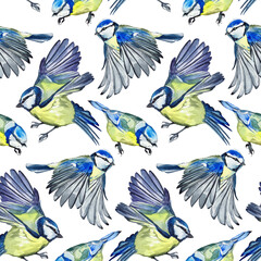Watercolor Seamless Eurasian Birds Pattern