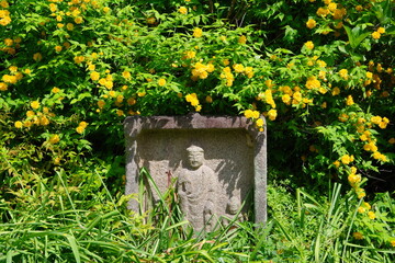 古都奈良　ヤマブキの咲く般若寺　