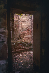 Verlassenes, gruseliges Haus in der Natur von Pflanzen überwuchert. Lost Place Cabin in the woods!...