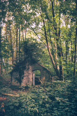Verlassenes, gruseliges Haus mitten in der Natur und von Pflanzen überwuchert. Lost Place Cabin in...