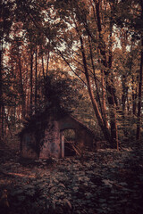 Lost Place Cabin in the woods! Ruine, zerfallene Gemäuer mit stimmungsvoller, creepy Atmosphäre....