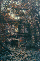 Verlassenes, gruseliges Haus mitten im Wald un von der Natur überwuchert. Lost Place Cabin in the...