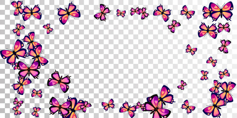 Magic purple butterflies isolated vector background. Summer cute moths. Decorative butterflies isolated girly illustration. Delicate wings insects graphic design. Garden beings.