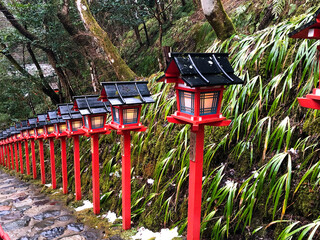 japanese garden gate