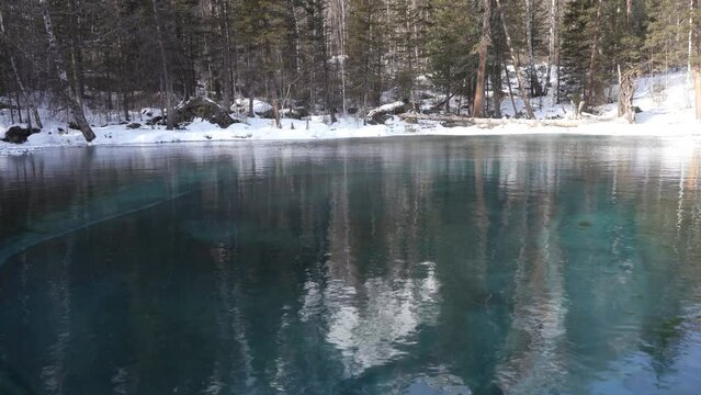 The amazing ice-free geyser lake is surrounded by snow-covered wooded shores. Blue clay rises from the bottom and spreads in circles over the turquoise water. Sun glare on the surface. Altai