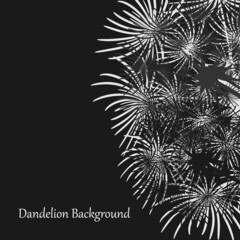 Black background with white large dandelion. Postcard with abstract floral texture. Template for advertising, announcements, email newsletter. Monochrome dandelion. Vector flower illustration