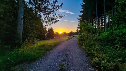 Hiking trail in early morning haze in the Karawanks in Carinthia, Austrian Alps. Narrow road leading to high mountains through a meadow. Borders Austria, Slovenia, Italy. Sky is pink. Daybreak.Sunrise