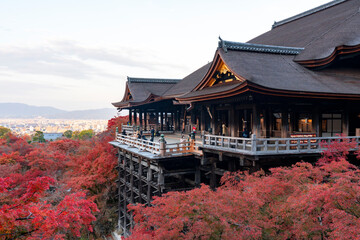 Naklejka premium [京都]紅葉の清水寺舞台の風景