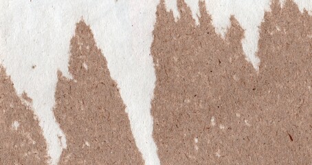 Kraft torn and creased Paper Texture for Background	