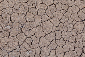 above the ground is arid, brown, cracked