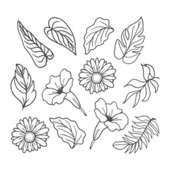 set of leaf and flower illustration isolated on white background. beautiful wedding ornament. black and white colors. monocohrome style. hand drawn vector. poster, sticker, clipart, poster, decoration