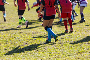 Fototapeta premium rugby match