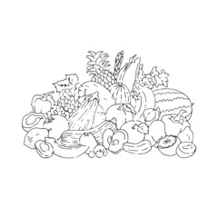  fruits ink line art illustration
