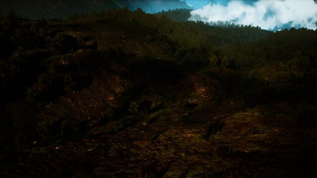 autumn forest on green rocky hills