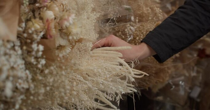 Girl Inserting Single Stem Of Dry Bunny Tail On Bunches Of Dried Flowers In Shop. Close Up