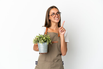 Gardener girl holding a plant over isolated white background pointing up a great idea