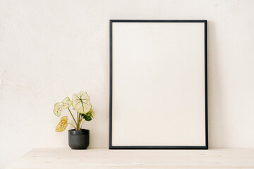 Poster frame and plant on bright beige wall. Stylish home decor design. Mockup